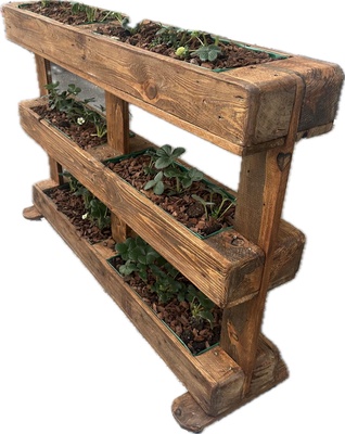 Palet Macetero R�stico vac�o Artesanal